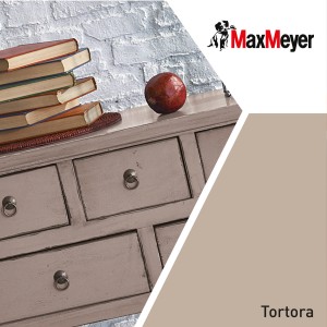 Campione di colore Max Meyer Tortora su comò con libri e sfera decorativa.