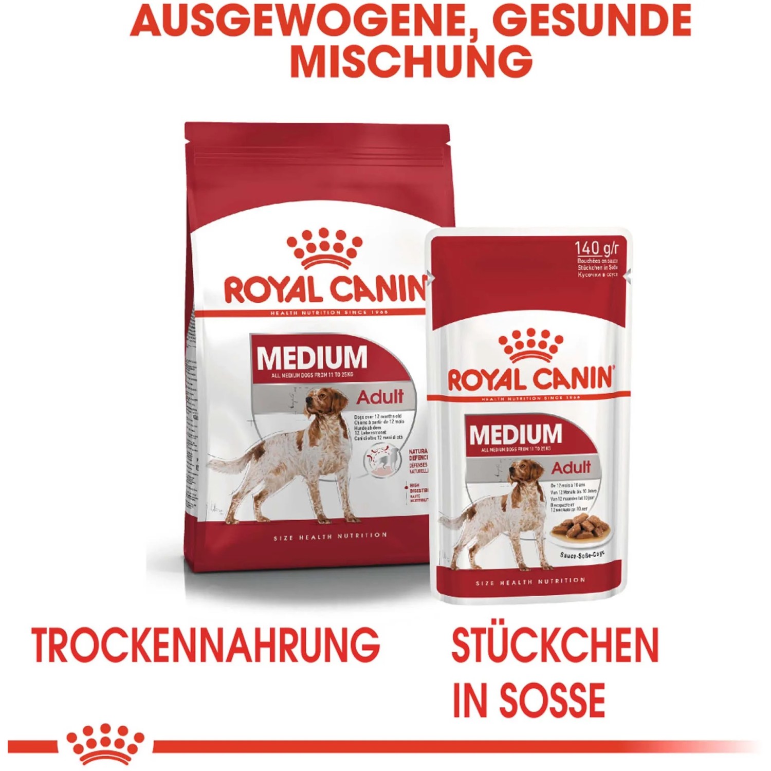 Royal Canin Medium Adult: Crocchette e alimento umido per cani di taglia media, 4 kg.