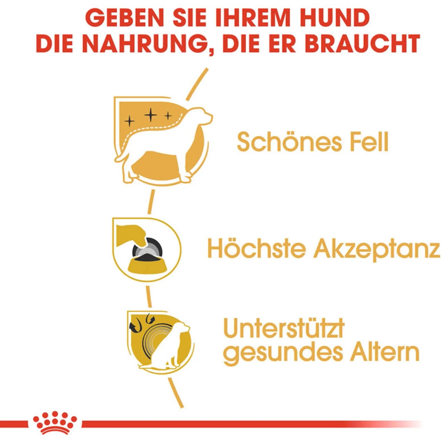 Grafica sull'alimento per cani Royal Canin Yorkshire Terrier Adult: pelo bello, alta accettabilità, supporta l'invecchiamento sano.