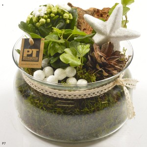 Decorazione da tavolo con piante, stella, pigna e muschio in vaso di vetro.