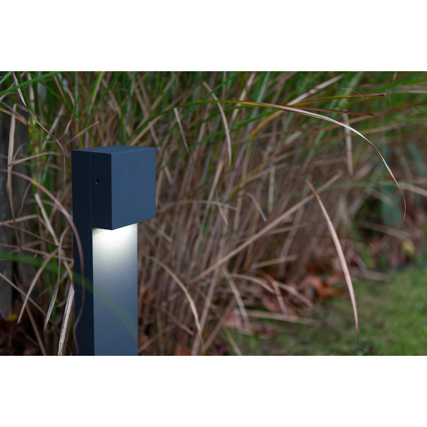 Moderna lampada da vialetto a LED Lutec Gemini XF color antracite in giardino.