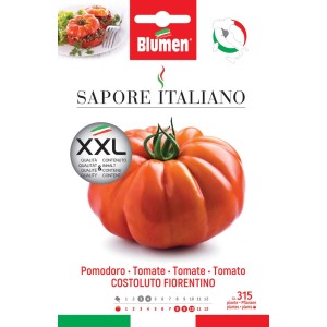 Semi per pomodori Costoluto Fiorentino, varietà italiana per l'orto.