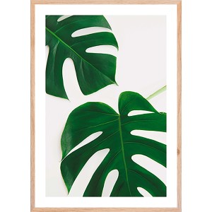 Quadri: Quadro con due foglie di Monstera verdi in cornice di legno.