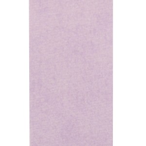 Primo piano di un nastro adesivo t.b.t. lilla.