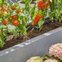 Set irrigazione a goccia Gardena per terrazza con piante di pomodoro e peperone in fioriera.