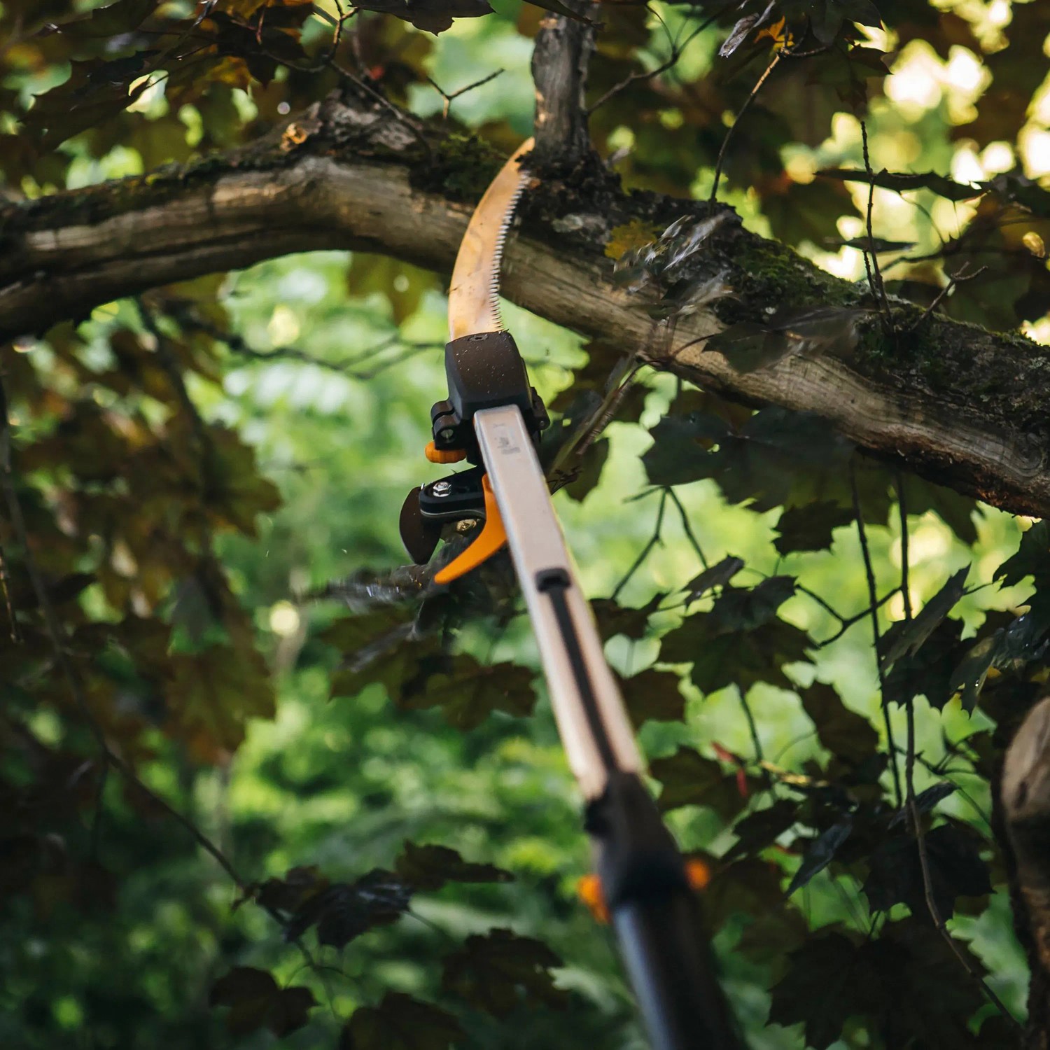 Attacco per sega per alberi Fiskars UPX82/86 in uso per tagliare rami.