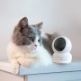 Telecamera di videosorveglianza bianca accanto a un gatto. Videosorveglianza per la tua casa.