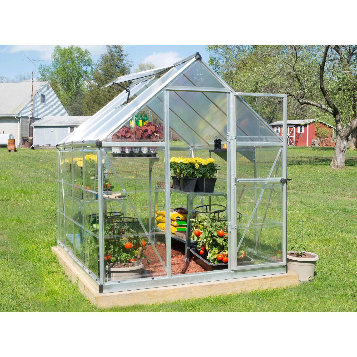 Serra Palram Canopia Hybrid 2.5x1.9 m, telaio argento, pareti chiare, con piante.