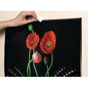 Chiodo adesivo Tesa Powerstrips che appende un calendario con motivo di papaveri rossi.