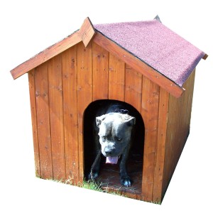 Cuccia per cani in legno tg grande 80x115 cm