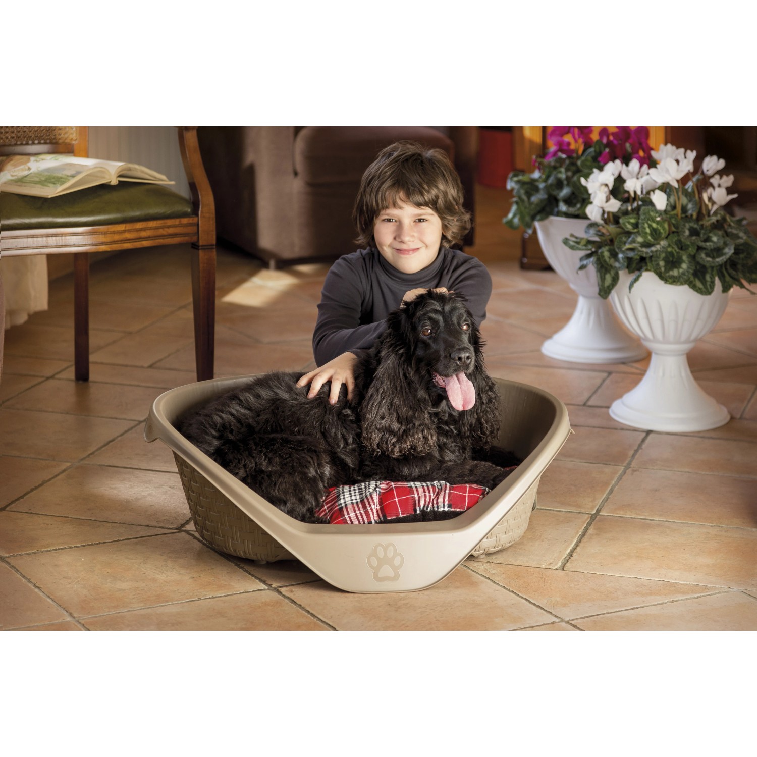 Cane sdraiato nella cuccia beige t.b.t. con cuscino rosso. Bambino accarezza il cane.
