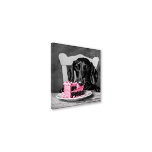 Canvas 30x30 cm dachshund