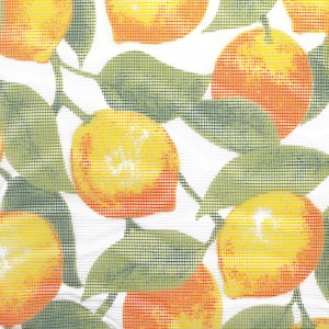 t.b.t. Zanzariera per porte con motivo a limoni.