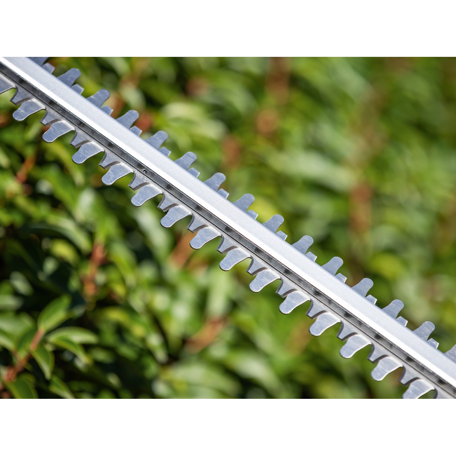 Dettaglio delle lame di un tagliasiepi a batteria LUX A-HS-20/52-24.