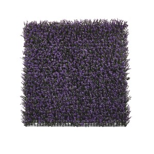 t.b.t. stuoia frangivista con foglie viola per balcone e giardino.