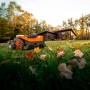 Worx robot rasaerba M800: Robot tagliaerba senza filo in giardino.
