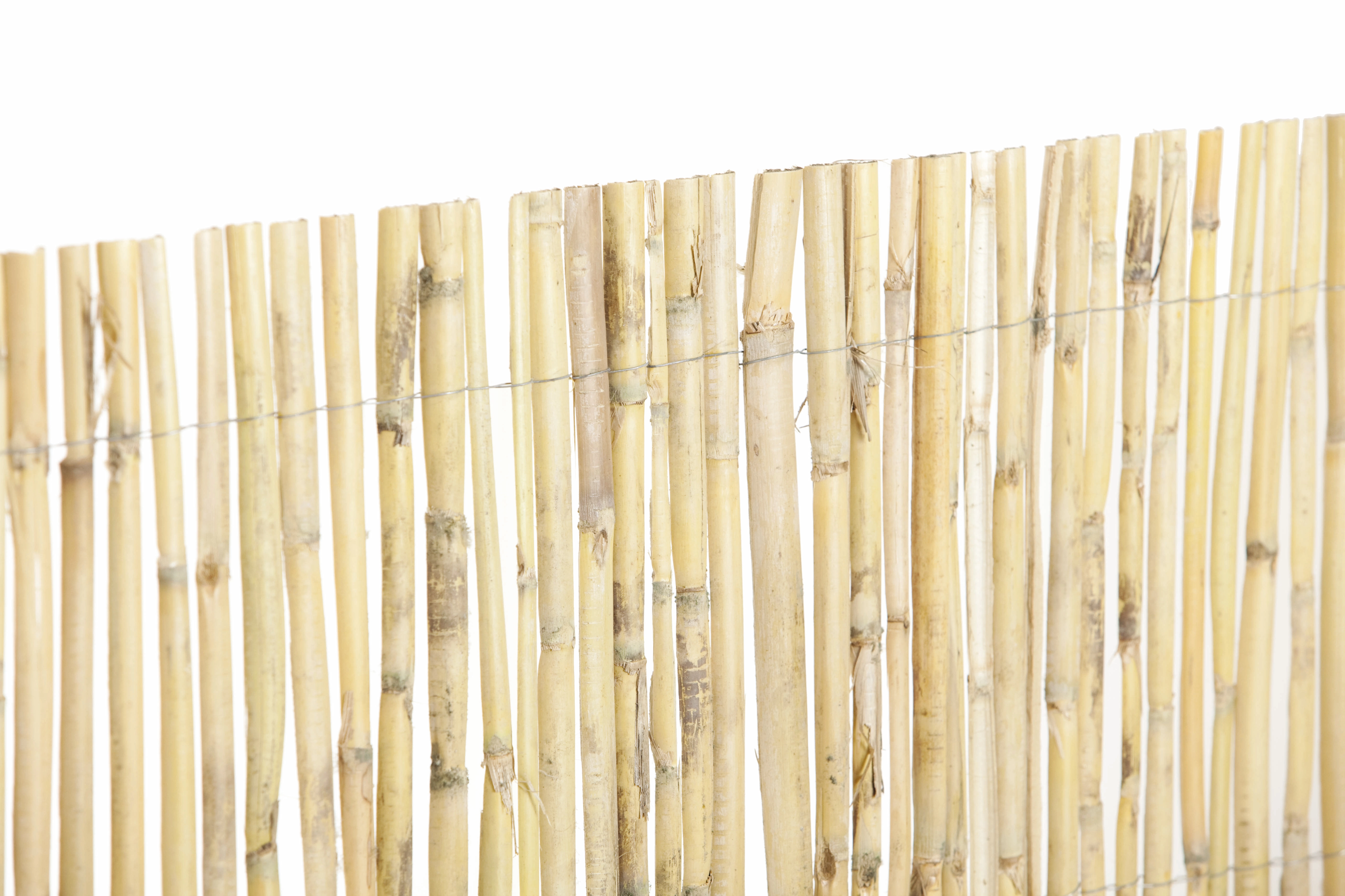 50x Canne di bambù 60 cm marroni