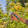 Forbici da giardino Gardena PremiumCut Flex in uso per tagliare legno verde.