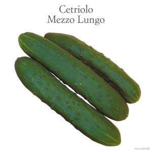 Tre cetrioli verdi allungati (Ortaggi da frutto).