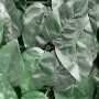 Foglie verdi di una siepe artificiale come frangivista.