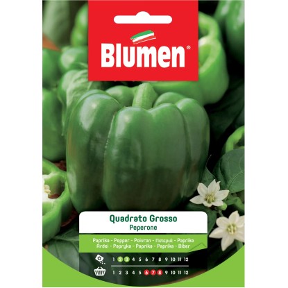 Semi Blumen Peperone grosso quadrato