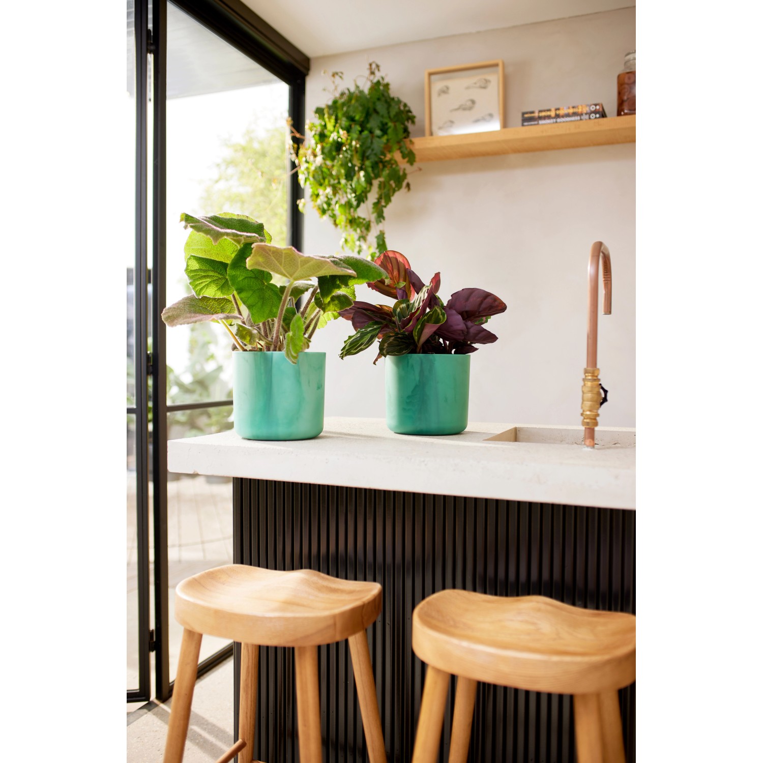 Due vasi da fiori Elho Ocean Collection Ø 16 cm blu Atlantico con piante su un bancone da cucina.