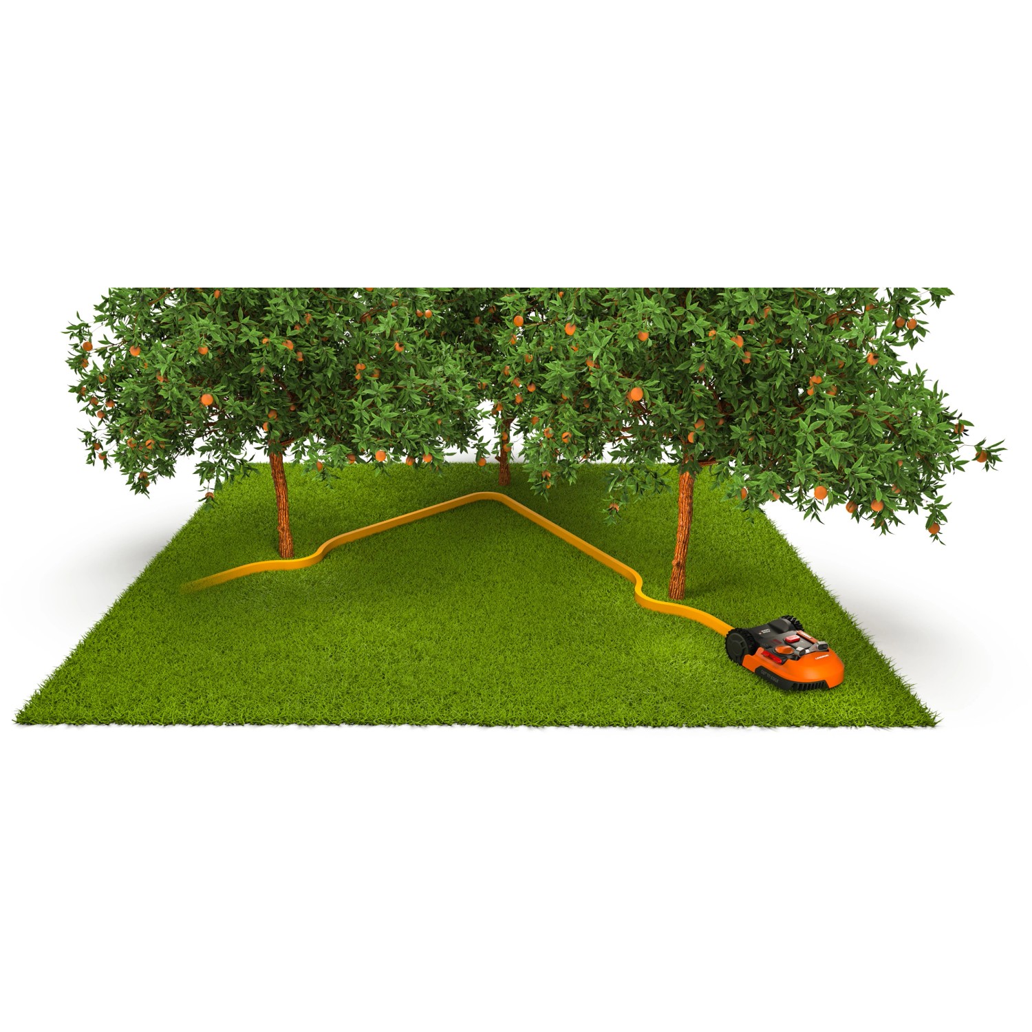 Worx Landroid robot rasaerba con sensore di collisione ACS evita albero su prato.