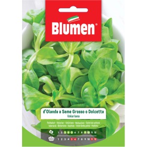 Confezione di semi di valeriana (Valeriana) di Blumen, ideale per la coltivazione nel proprio orto.