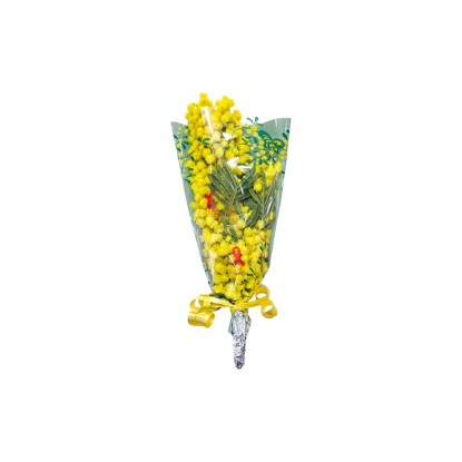 Mimosa mazzo piccolo