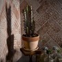Vaso per piante Patavium in terracotta graffiato ø 25 cm_2