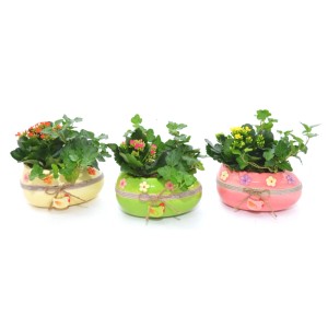 Composizione uovo in ceramica piante verdi 40 cm
