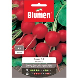 Confezione di semi di ravanelli rossi (t.b.t.) della varietà Rosso F.1 di Blumen.