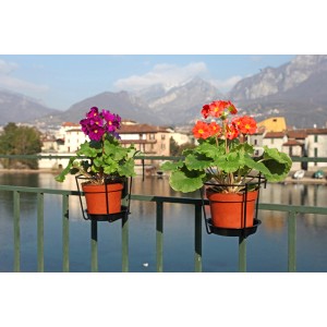 Due portavasi t.b.t. con fiori colorati su una ringhiera con scenario montano.