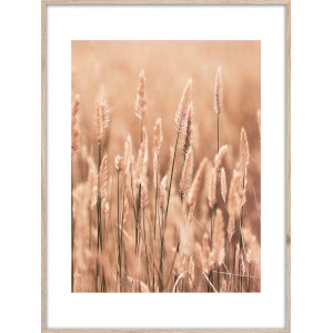 Quadri: Immagine di erbe nei toni del beige e del marrone in una cornice.