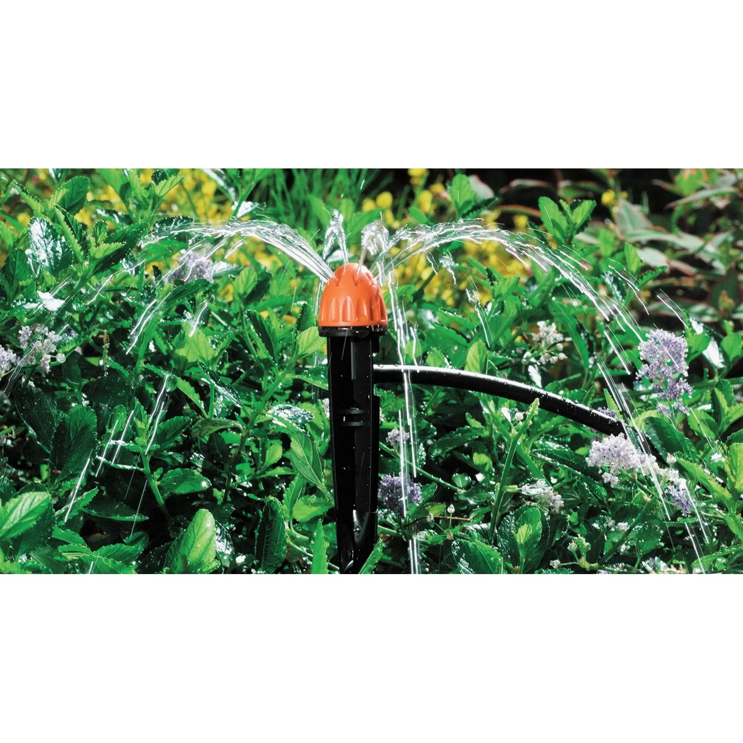 Irrigazione con Microirrigazione t.b.t. in giardino. Irrigatori con getto d'acqua.