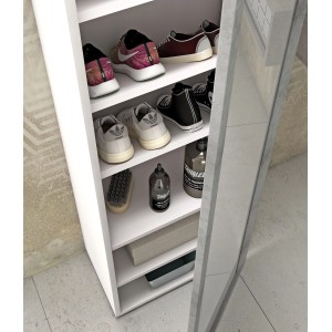 Scarpiera aperta con diverse scarpe e utensili per la pulizia.