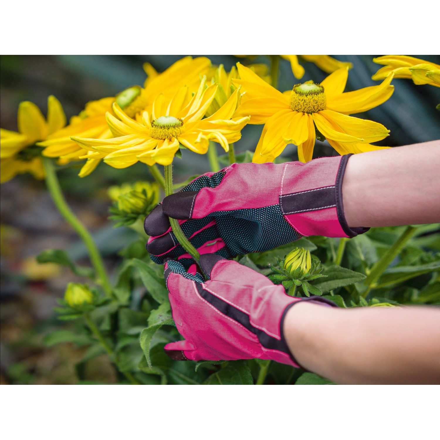 Guanti Da Giardinaggio In Nitrile Rosa - Protezione Lunga Con Polsini Regolabili - Foto 4