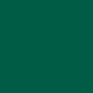 Sfondo verde scuro uniforme per smalti colorati.
