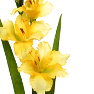 Fiore artificiale giallo (tipo gladiolo) con foglie verdi come decorazione.