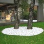 Ciottoli decorativi bianchi attorno all'albero sul prato. Ciottoli e granulati per il giardino.
