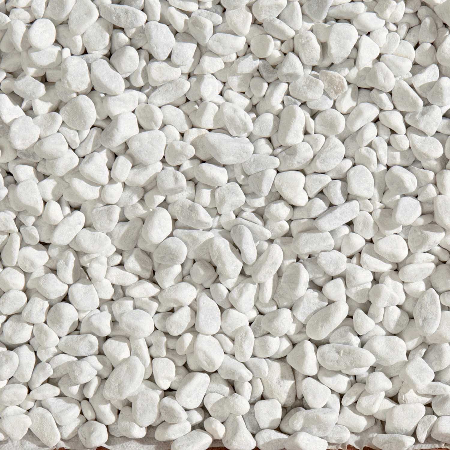 Ciottolo Bianco Carrara 15-25 Mm - Sacco 25 Kg Per Giardino