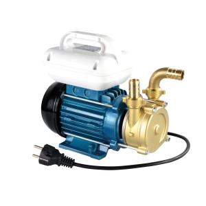 Pompa da giardino blu con raccordi in ottone per irrigazione.