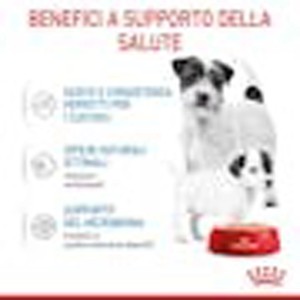 t.b.t. cibo umido per cani per cani sani.
