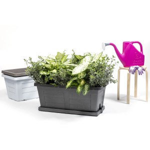 Fioriera grigia t.b.t. piantumata, annaffiatoio e guanti da giardinaggio sullo sfondo.