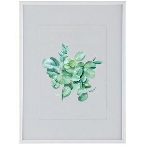Cornice t.b.t. con motivo eucalipto ad acquerello, Cornici bianca.