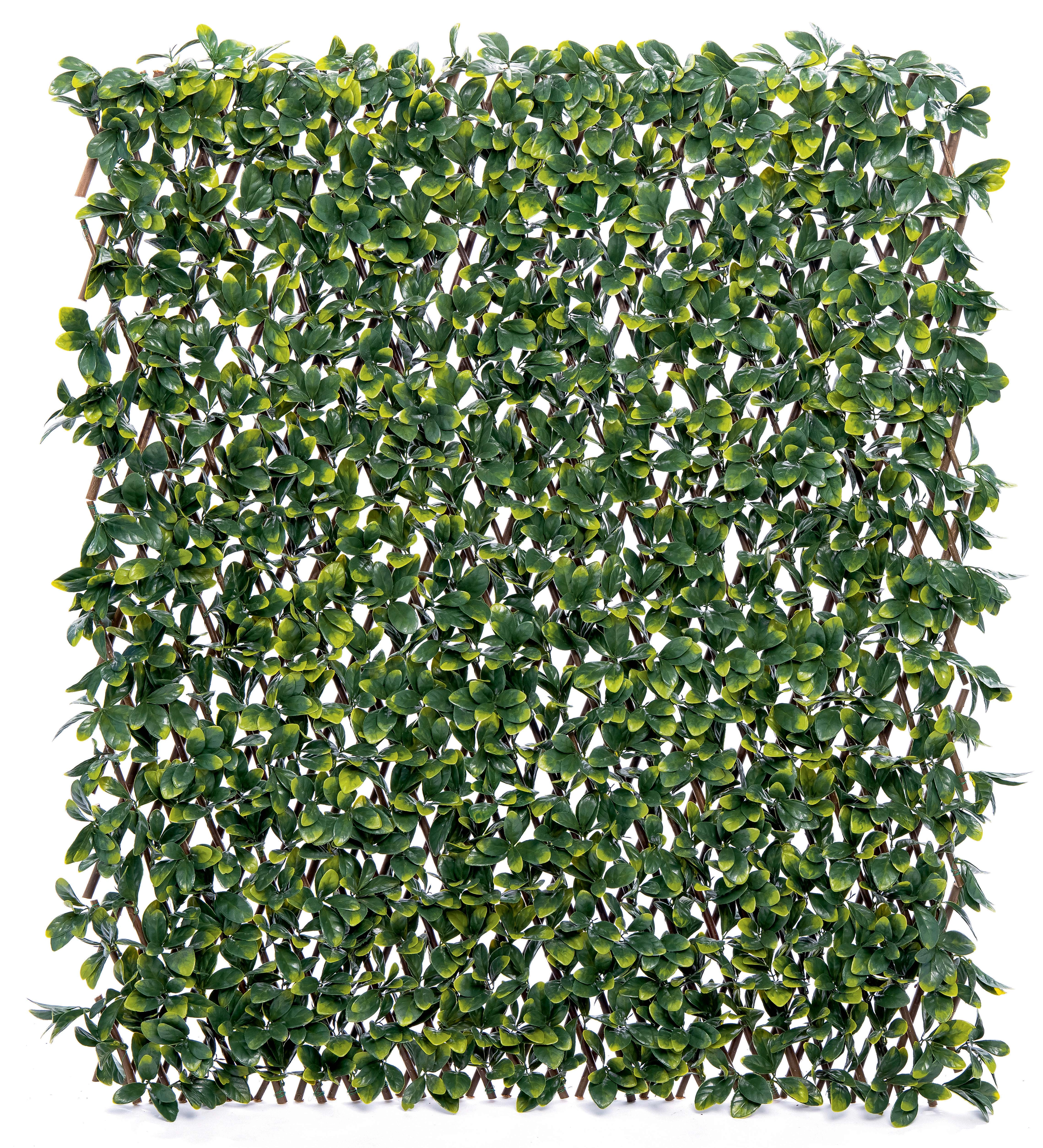 Siepe artificiale con traliccio estensibile Bayberry 1x2 m