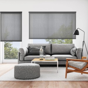 Tende a rullo t.b.t. grigie in soggiorno moderno con divano e tappeto.