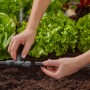 Installazione di un raccordo a T per irrigazione interrata in giardino.