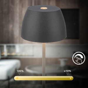 Lampada da tavolo a LED a batteria Brilo Serina Mini antracite, dimmerabile, funzione touch.