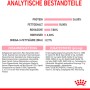 Infografica: Composizione e analisi del cibo secco Royal Canin Kitten.